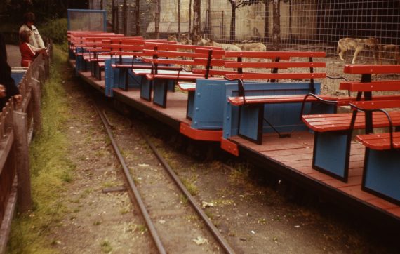 Photo of wolves admiring Belle Vue's miniature railway carriage stock, 1977. Copyright Jon Cocks.